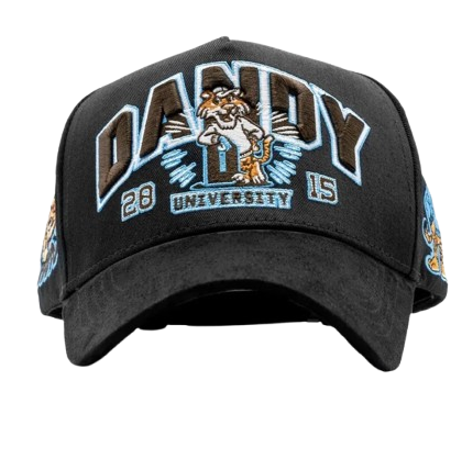 Dandy University Snapback Hat