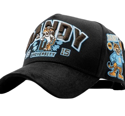 Dandy University Snapback Hat