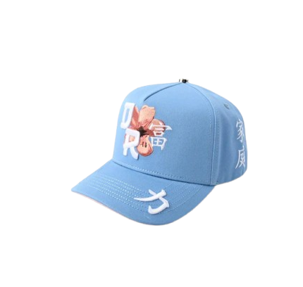 El Dreamer DR Hat